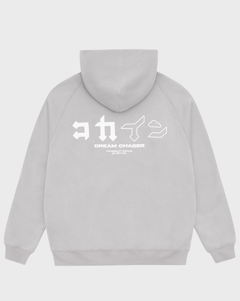 "Dream Chaser" Zip Up Hoodie // NARDO GREY