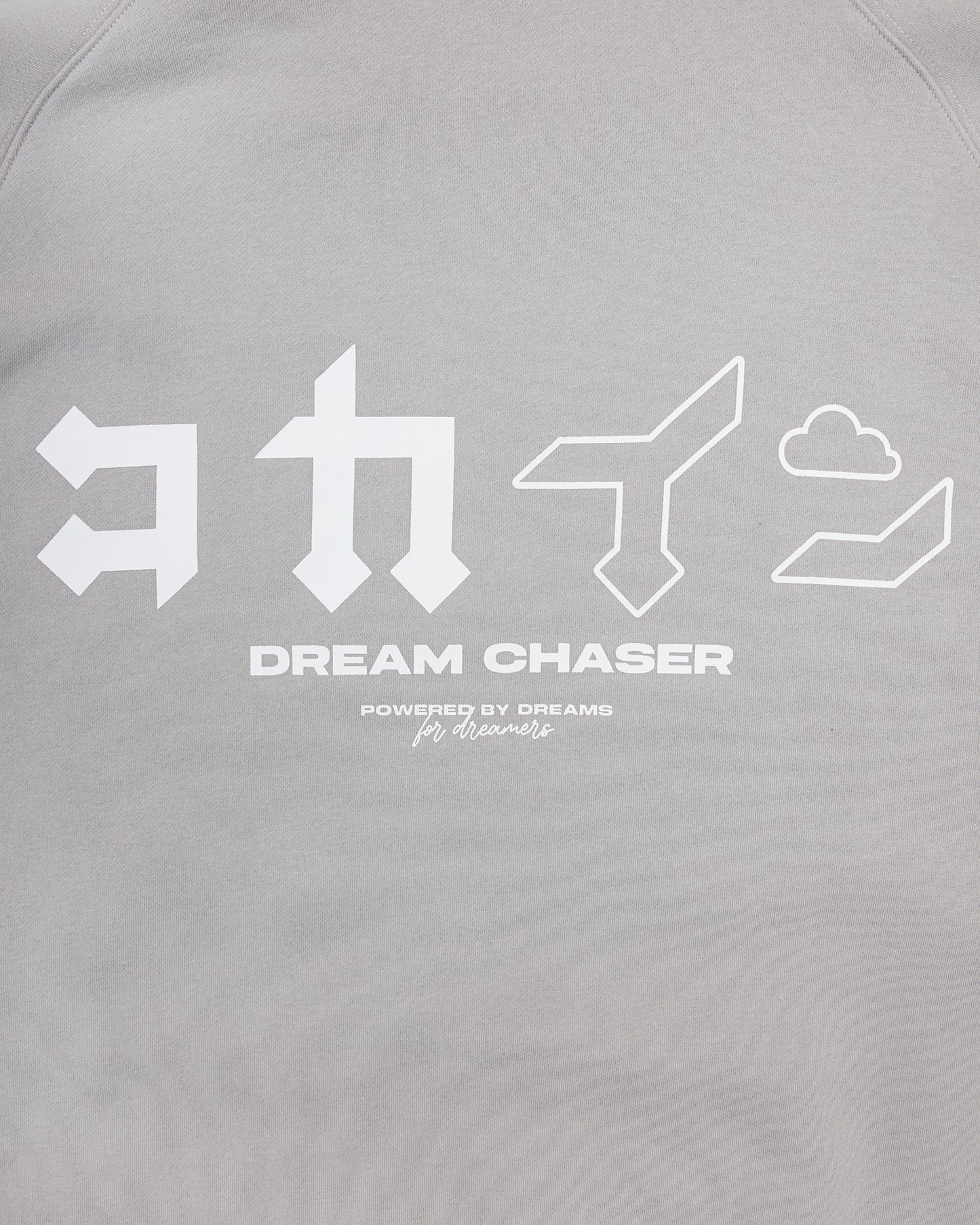 "Dream Chaser" Zip Up Hoodie // NARDO GREY
