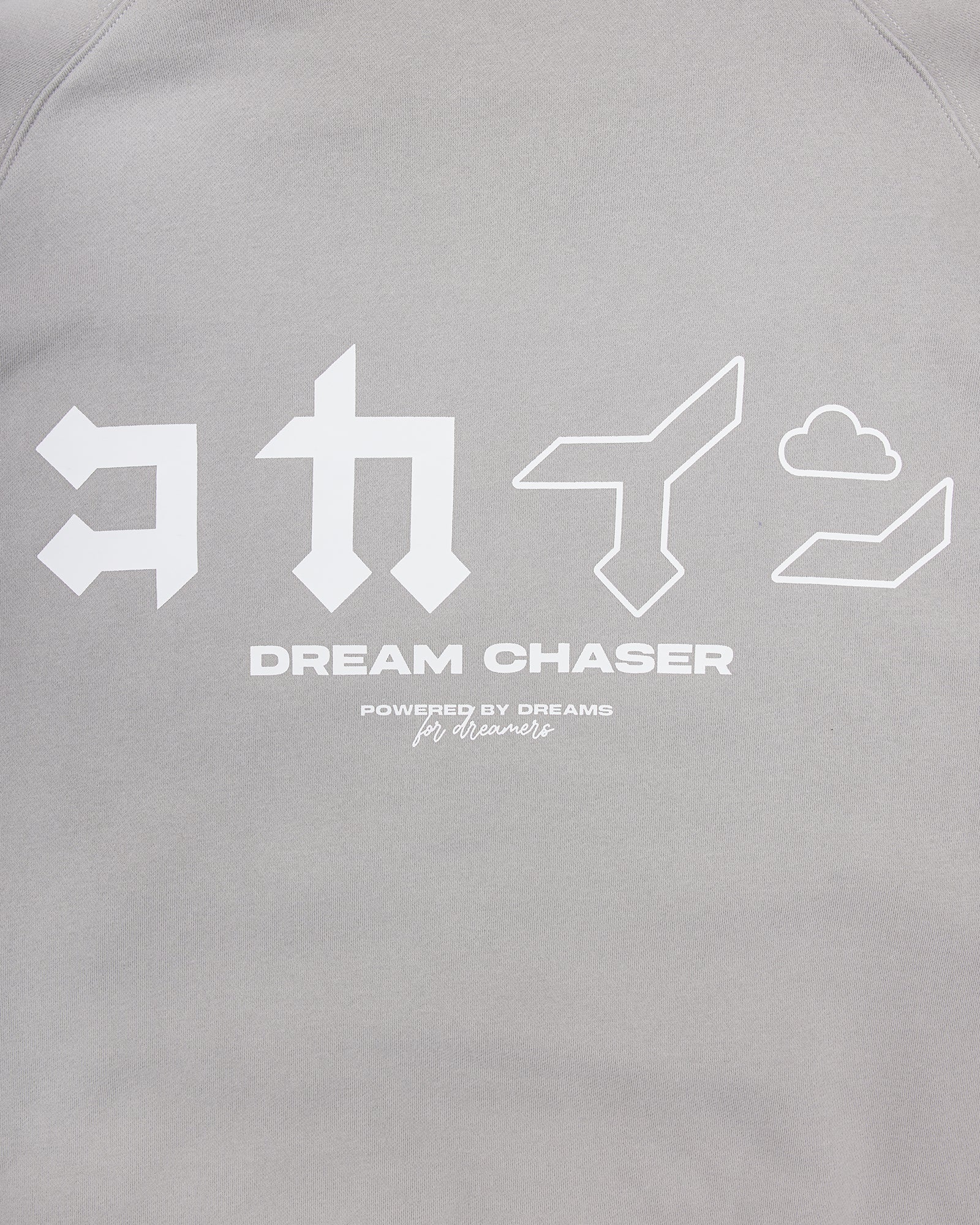 "Dream Chaser" Zip Up Hoodie // NARDO GREY - KOKA Dept.