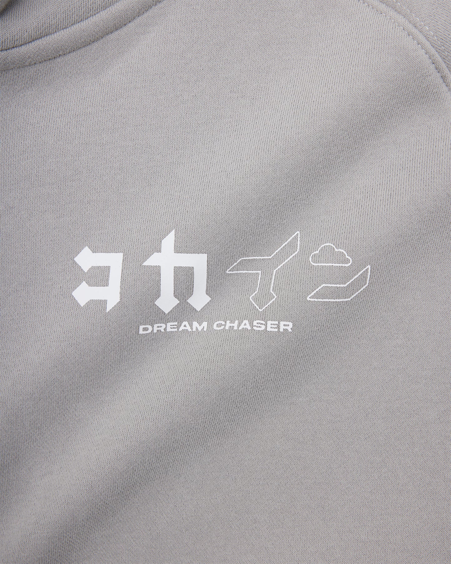 "Dream Chaser" Zip Up Hoodie // NARDO GREY